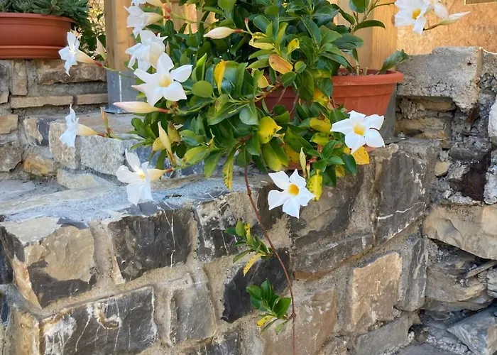 Feriehus Casa Matilde