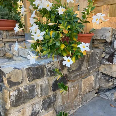 בית נופש Casa Matilde